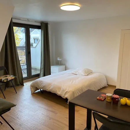 Apartment Tramway Et Parlement Europeen A 8 Minutes A Pied - Havre De Paix - Studio 28 M2 - Terrasse Vue Degagee - Parking Prive Gratuit Strasbourg